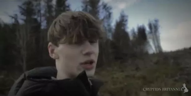 在英国的田野里发现了被肢解的绵羊墓地,引发了对大型猫科动物的恐惧