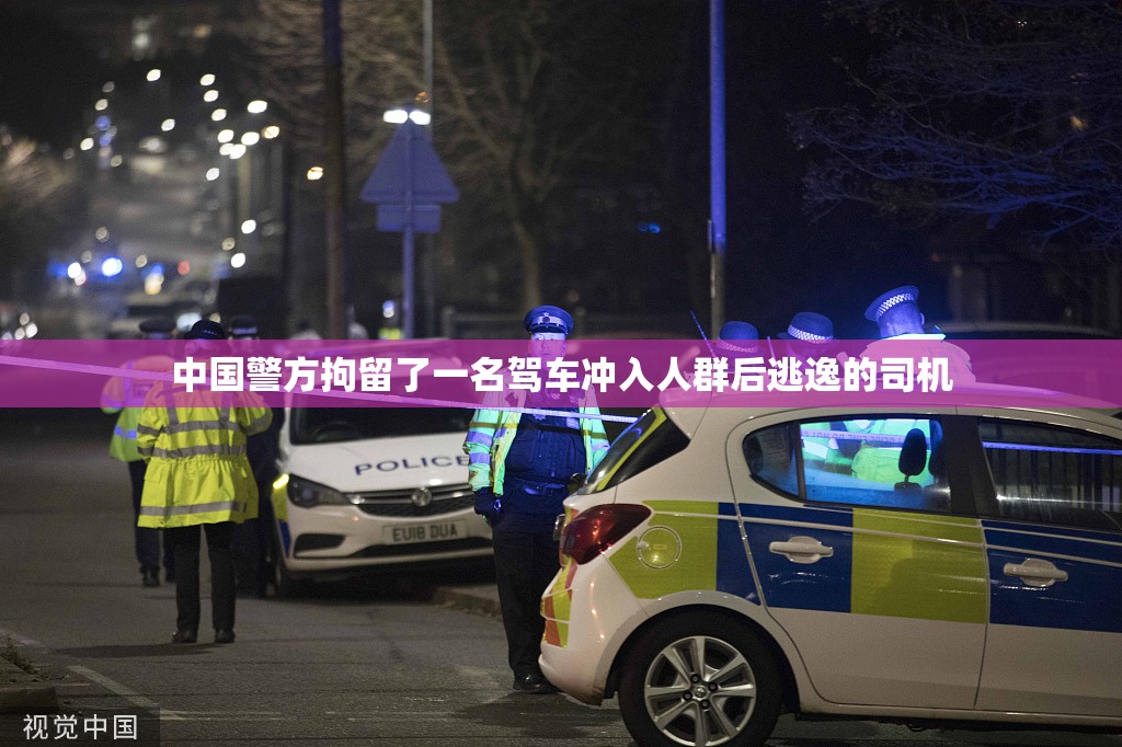 中国警方拘留了一名驾车冲入人群后逃逸的司机