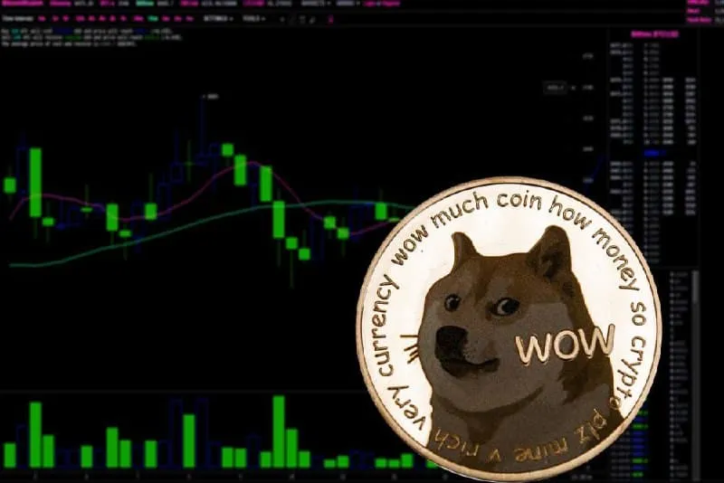 为什么分析师认为狗狗币（DOGE）可以继续上涨